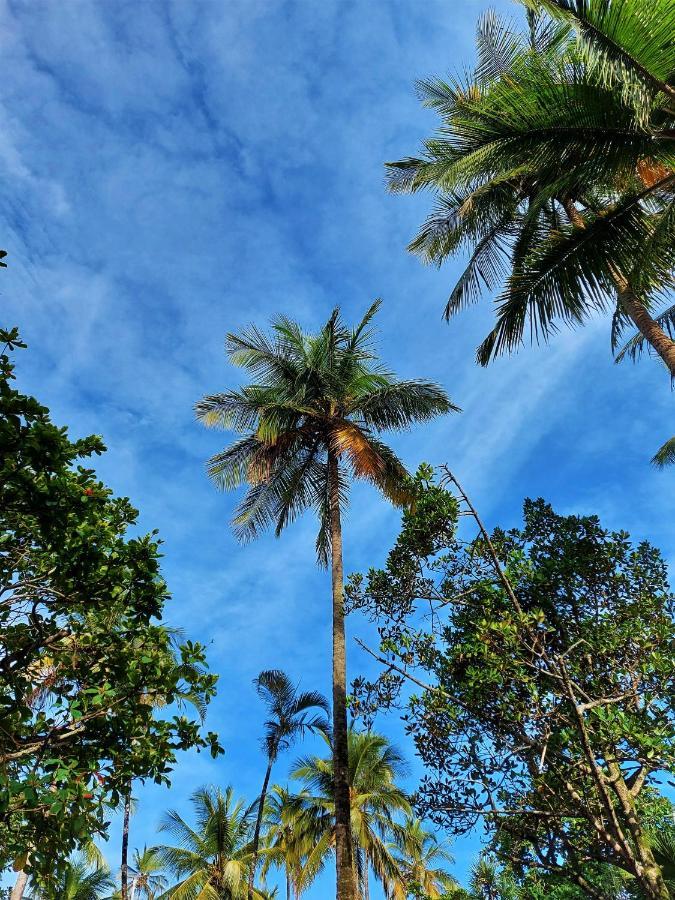 Apto Pe Na Areia Praia Das Pitangueiras - Centro Guarujá Exterior foto